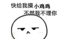 我当老妈的小司机