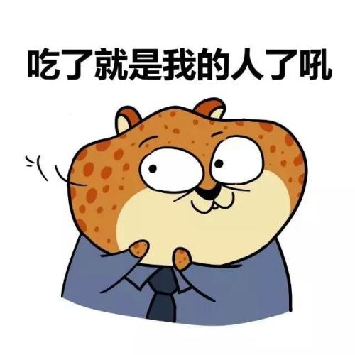 学习也很有趣