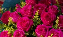 给予如花芳香四溢