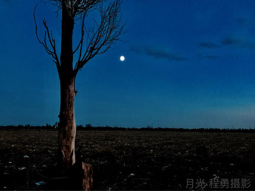 放开你的负担，飞翔