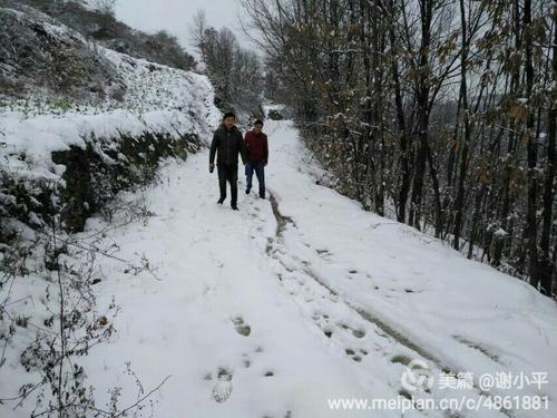 与雪同行