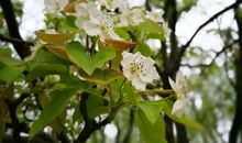 浙大紫金港踏青