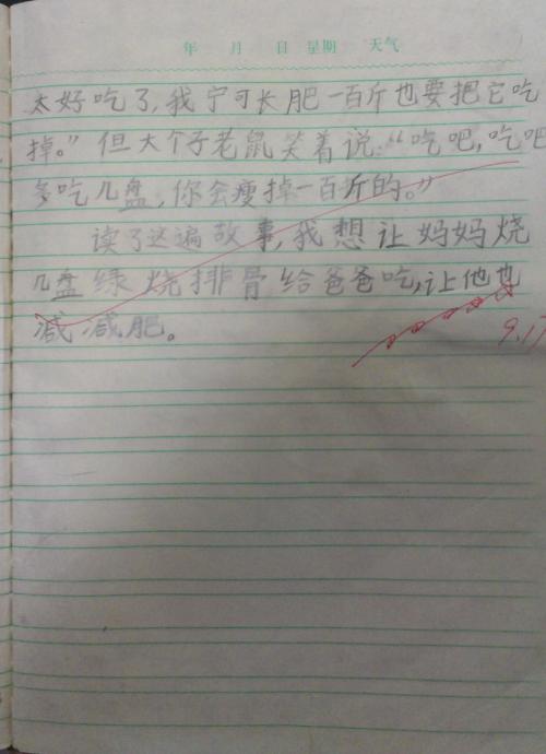 读完《我在天堂遇见猫》后的感想
