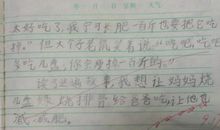 《我在天堂遇见猫》读后感