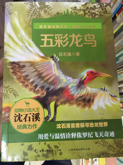 看完五彩龙鸟之后