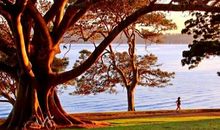 十年后的未来校园