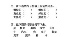 读《爬山虎的脚》有感
