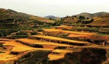 心心念念的宋城