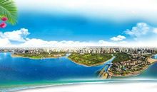 感恩的花开在通往那片海的路上