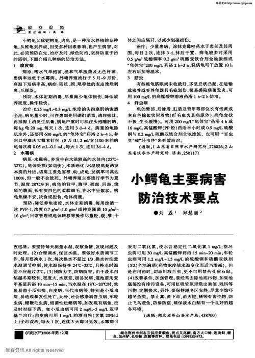 年轻丁香的记忆