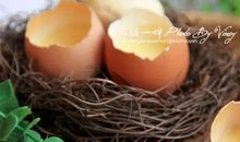 神奇的小鸡出壳