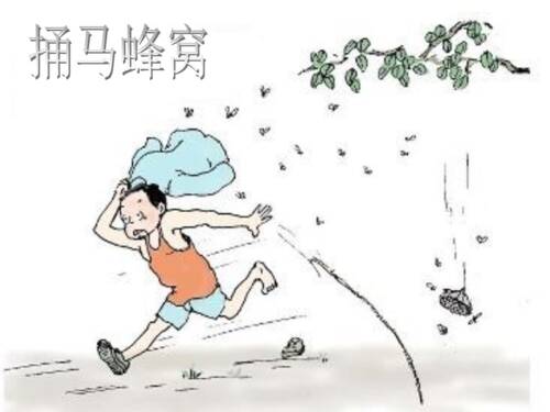 戳大黄蜂巢的经验