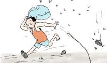 捅马蜂窝的经历