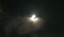 我努力读懂坚强