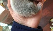 那扬起的大巴掌