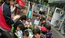 奶奶教我包粽子