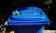 一个垃圾的自述