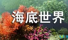 描写海底世界的作文