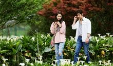 与你一起的春夏秋冬