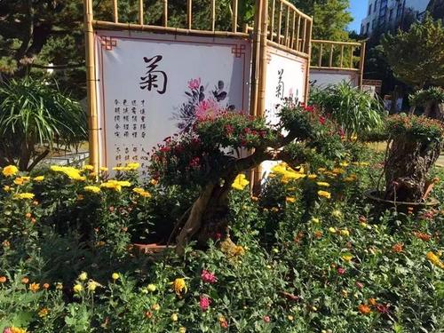 泰山花园的秋色