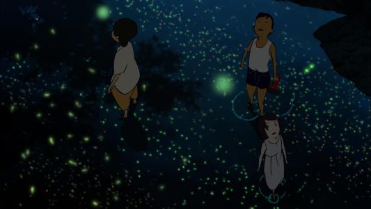 暑假期间遇到萤火虫