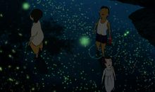 暑假偶遇萤火虫