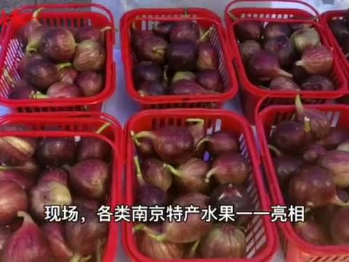 我们的微微果园