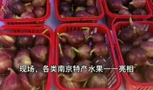 我们的蔚蔚果园