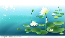 池塘里的小青蛙