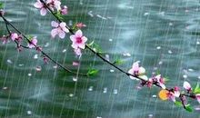 多彩的春雨