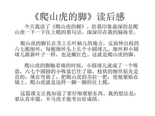 世界上最幸福的脚