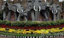 趣游长沙生态动物园