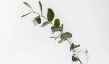 用心装下大千世界