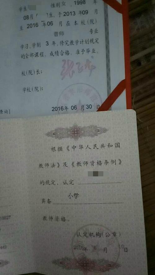 300字失物通知书