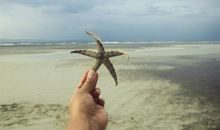 留在我心底的震撼