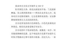 万万没想到作文400字