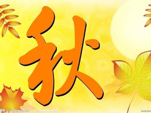 寻找秋天的足迹