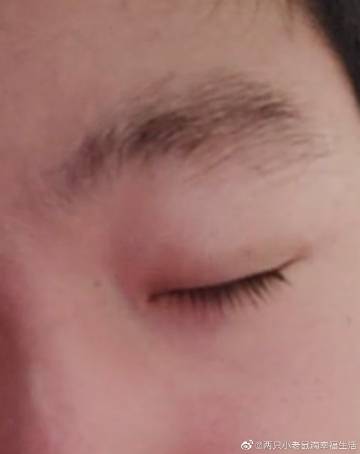 走进老鼠的幸福生活