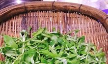 学做“草粑粑”