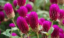 一段生命的距离