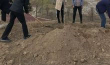 植树添绿正当时