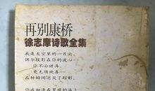 再别康桥仿写再别童年