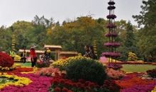 淌过心田的一丝金黄