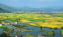 乡村景致作文四年级