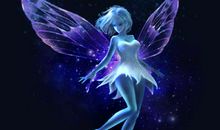 守护动物的“天使”