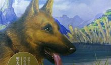 神奇的警犬读后感
