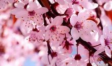 不错过每一次等待