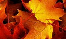 珍惜身边的那份爱