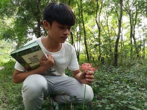 大自然是一位好老师