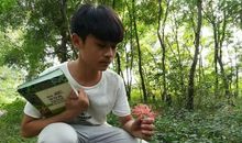 大自然是好老师